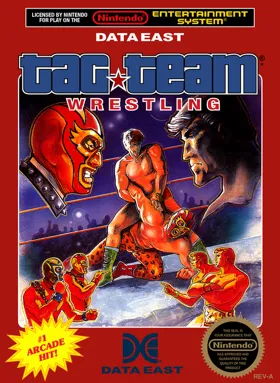 Tag Team Wrestling (USA) box cover front